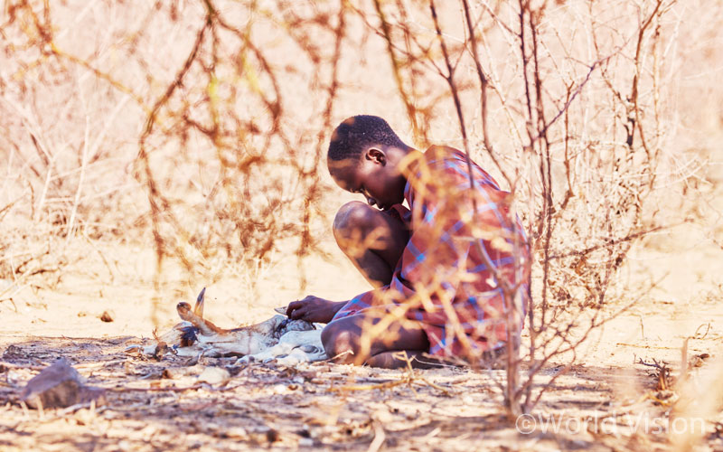 수년간 이어진 동아프리카 기근이 그 땅에 죽음을 짙게 드리우고 있었습니다.